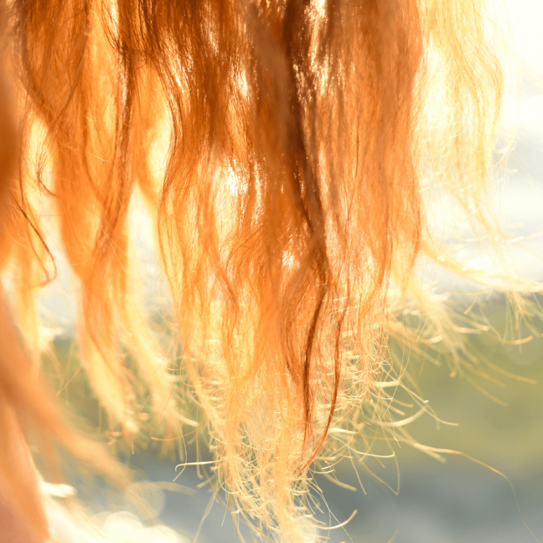Comment protéger ses cheveux du soleil grâce à la coloration végétale